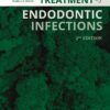 Treatment of Endodontic Infections