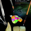 Bioesthetics in Oral Rehabilitation