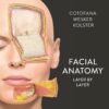 Facial Anatomy