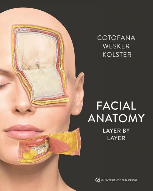 Facial Anatomy